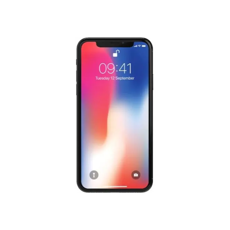 iPhone X